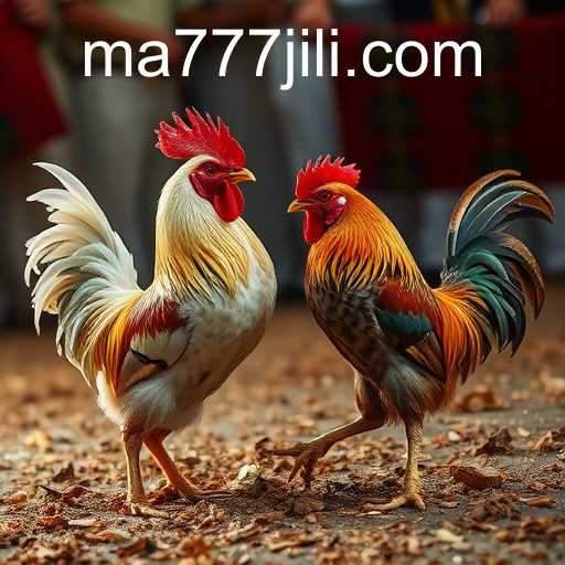 Exploring the World of Online Sabong: The Rise and Influence of MA777 Login